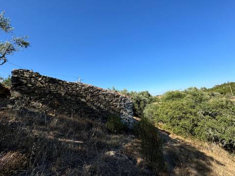 Montes Alentejanos para Recuperar