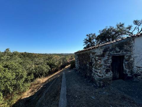 Montes Alentejanos para Recuperar