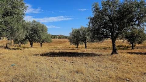 Terreno inserido malha urbana Garvão