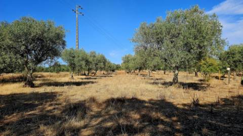 Terreno inserido malha urbana Garvão
