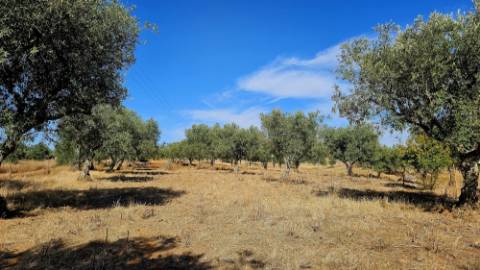 Terreno inserido malha urbana Garvão
