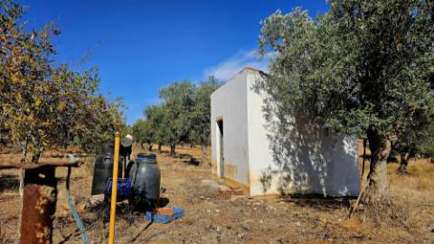 Terreno inserido malha urbana Garvão