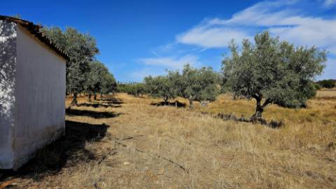 Terreno inserido malha urbana Garvão