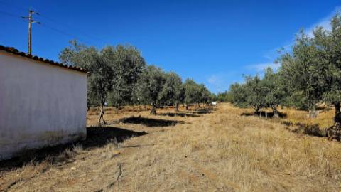 Terreno inserido malha urbana Garvão