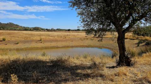 Terreno inserido malha urbana Garvão