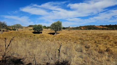 Terreno inserido malha urbana Garvão