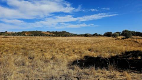 Terreno inserido malha urbana Garvão