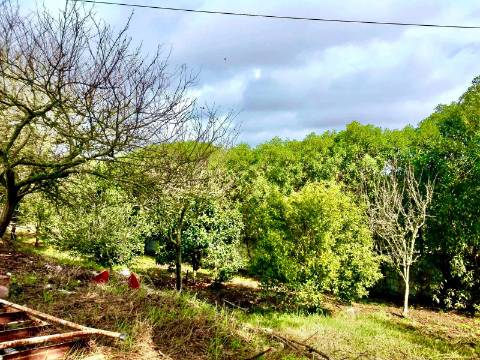 Moradia com Piscina São Teotónio - Odemira