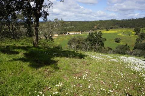 Oportunidade de Investimento no Alentejo Litoral - 131 ha com Casa para Renovar
