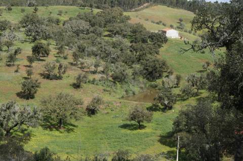 Oportunidade de Investimento no Alentejo Litoral - 131 ha com Casa para Renovar