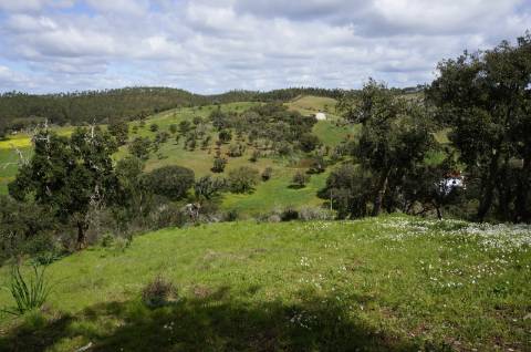 Oportunidade de Investimento no Alentejo Litoral - 131 ha com Casa para Renovar