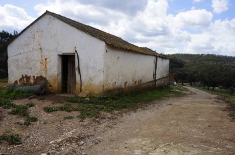 Oportunidade de Investimento no Alentejo Litoral - 131 ha com Casa para Renovar