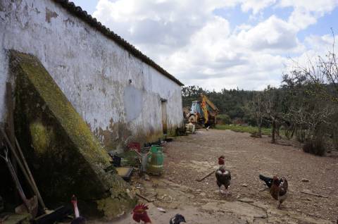 Oportunidade de Investimento no Alentejo Litoral - 131 ha com Casa para Renovar