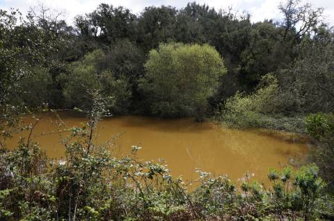 Oportunidade de Investimento no Alentejo Litoral - 131 ha com Casa para Renovar