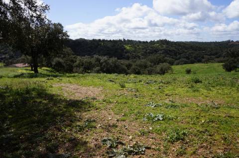 Oportunidade de Investimento no Alentejo Litoral - 131 ha com Casa para Renovar