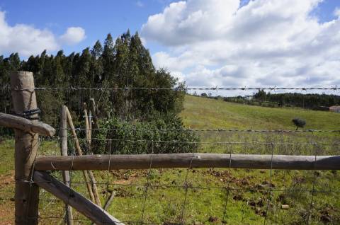 Oportunidade de Investimento no Alentejo Litoral - 131 ha com Casa para Renovar