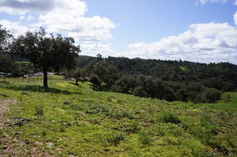 Oportunidade de Investimento no Alentejo Litoral - 131 ha com Casa para Renovar