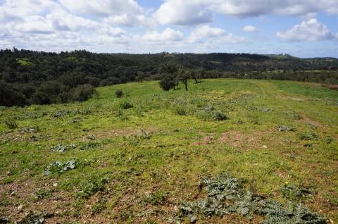 Oportunidade de Investimento no Alentejo Litoral - 131 ha com Casa para Renovar