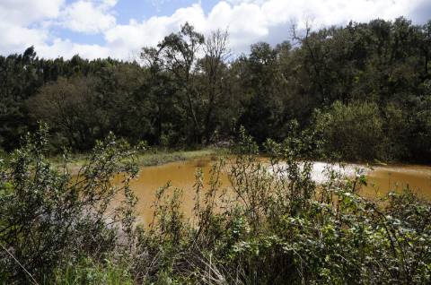 Oportunidade de Investimento no Alentejo Litoral - 131 ha com Casa para Renovar