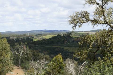 Oportunidade de Investimento no Alentejo Litoral - 131 ha com Casa para Renovar