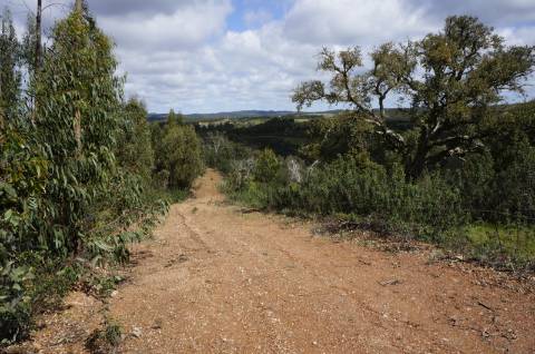 Oportunidade de Investimento no Alentejo Litoral - 131 ha com Casa para Renovar