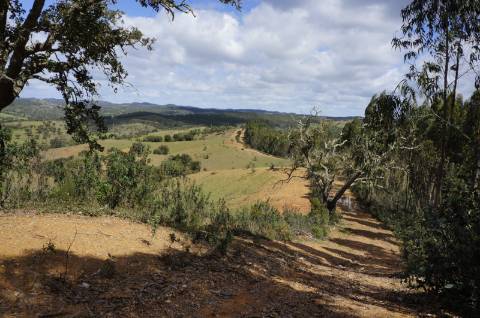 Oportunidade de Investimento no Alentejo Litoral - 131 ha com Casa para Renovar