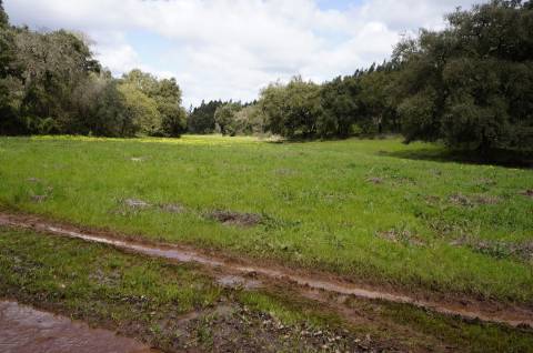 Oportunidade de Investimento no Alentejo Litoral - 131 ha com Casa para Renovar