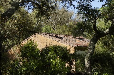 Propriedade próxima de São Martinho das Amoreiras