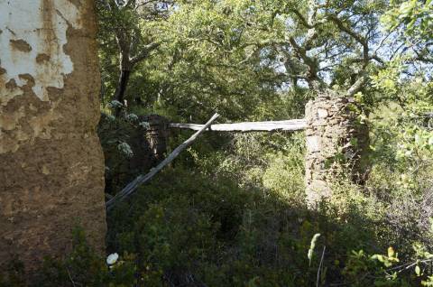 Propriedade próxima de São Martinho das Amoreiras