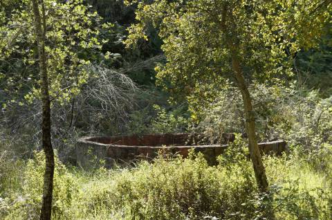 Propriedade próxima de São Martinho das Amoreiras