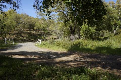 Propriedade próxima de São Martinho das Amoreiras