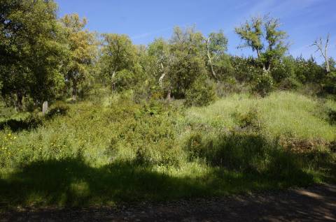 Propriedade próxima de São Martinho das Amoreiras