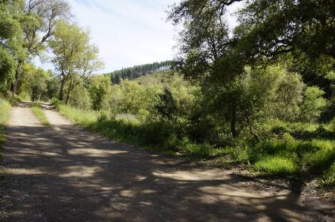 Propriedade próxima de São Martinho das Amoreiras