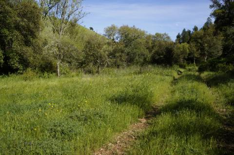 Propriedade próxima de São Martinho das Amoreiras