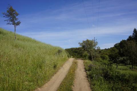 Propriedade próxima de São Martinho das Amoreiras