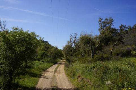 Propriedade próxima de São Martinho das Amoreiras