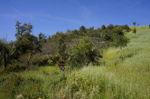 Propriedade próxima de São Martinho das Amoreiras