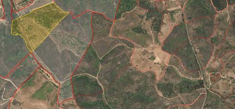 Propriedade próxima de São Martinho das Amoreiras