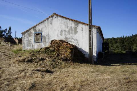 Monte Alentejano Típico com 7,05 Hectares