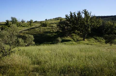 Monte Alentejano Típico com 7,05 Hectares