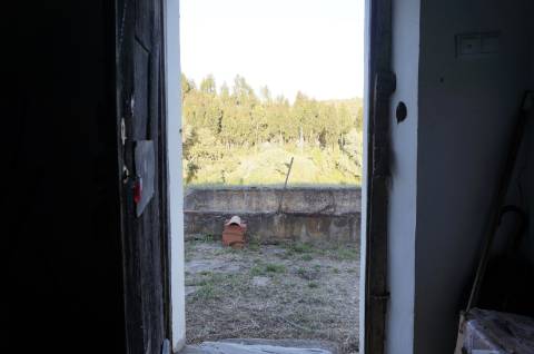 Monte Alentejano Típico com 7,05 Hectares