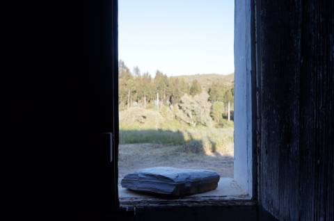 Monte Alentejano Típico com 7,05 Hectares