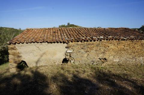 Monte Alentejano Típico com 7,05 Hectares