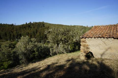 Monte Alentejano Típico com 7,05 Hectares
