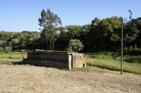 Monte Alentejano Típico com 7,05 Hectares