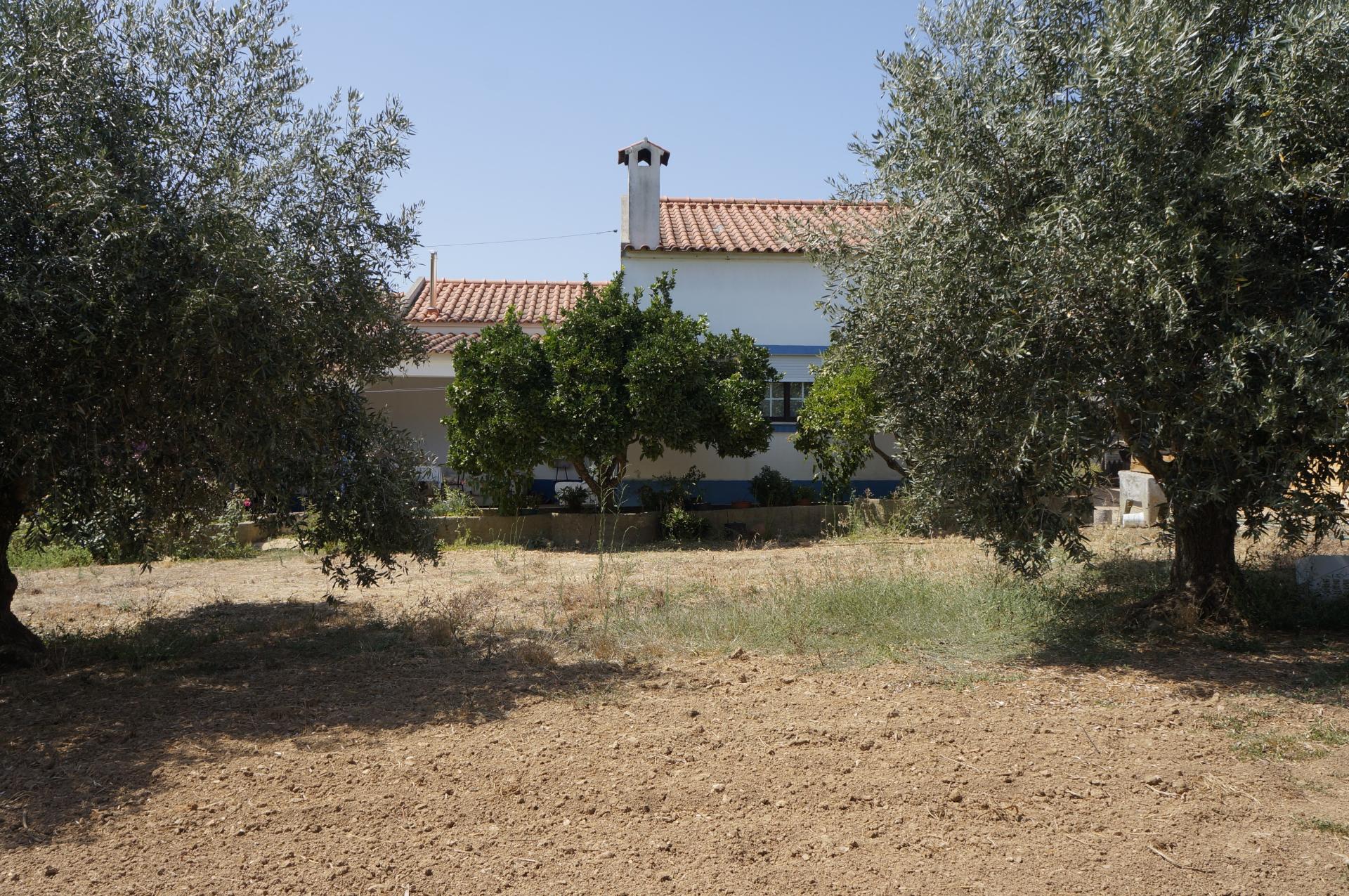 Quinta com moradia com boas áreas próxima das praias da Costa Vicentina