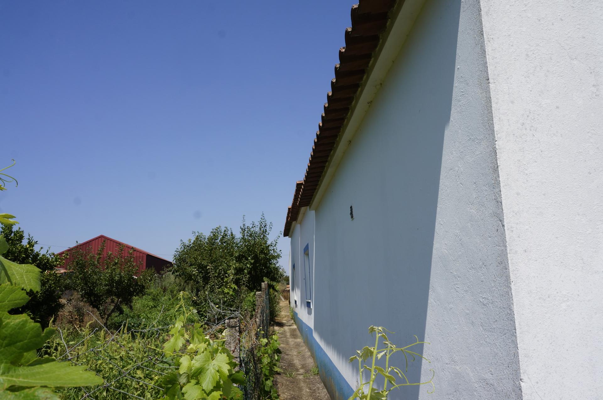 Quinta com moradia com boas áreas próxima das praias da Costa Vicentina