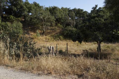 Terreno rústico com 1,5 hectares