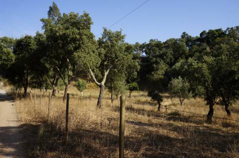Terreno rústico com 1,5 hectares