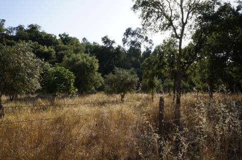 Terreno rústico com 1,5 hectares